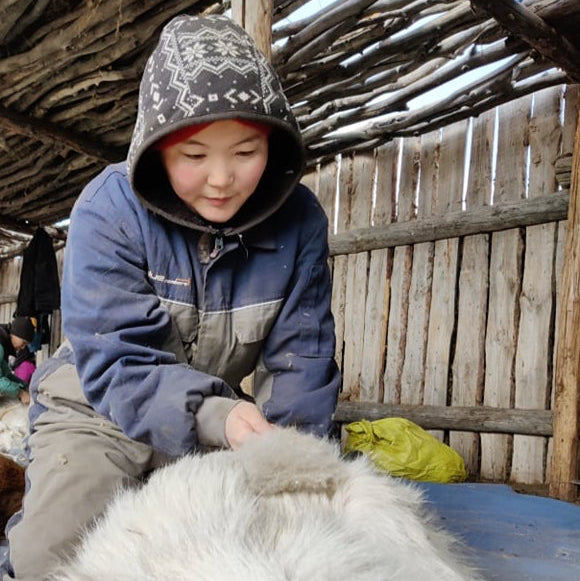 Mongolian Cashmere